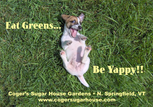 Eat Greens Be Yappy