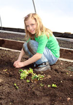 Gwen Coger Planting